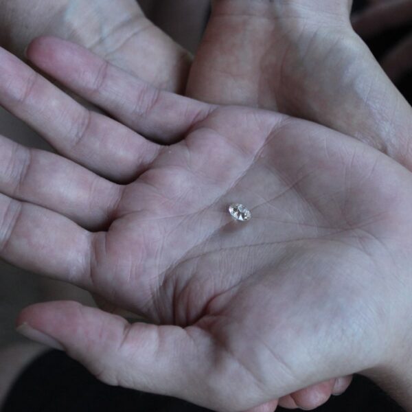 Therapy Diamond Concierge Program