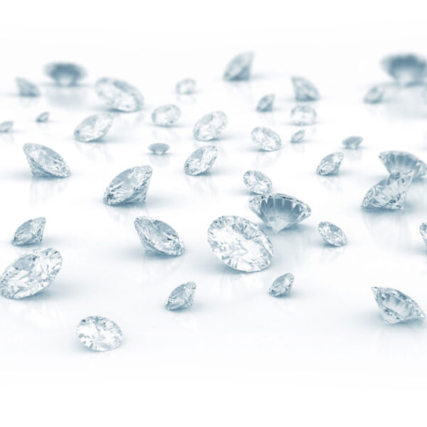 Therapy Diamond Concierge Program